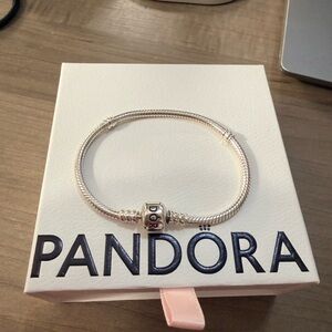 Pandora Silver Bracelet with Black Accents